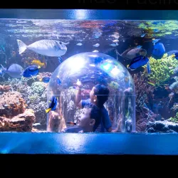 Butterfly House & Aquarium - Sioux Falls