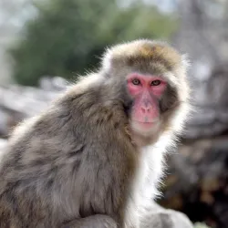 Great Plains Zoo & Delbridge Museum of Natural History - Sioux Falls