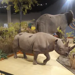 Great Plains Zoo & Delbridge Museum of Natural History - Sioux Falls