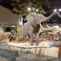 Great Plains Zoo & Delbridge Museum of Natural History - Sioux Falls