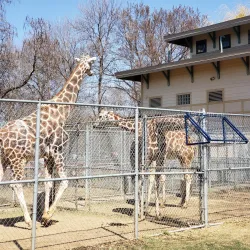 Great Plains Zoo & Delbridge Museum of Natural History - Sioux Falls