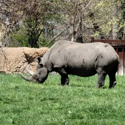 Great Plains Zoo & Delbridge Museum of Natural History - Sioux Falls