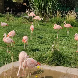 Great Plains Zoo & Delbridge Museum of Natural History - Sioux Falls