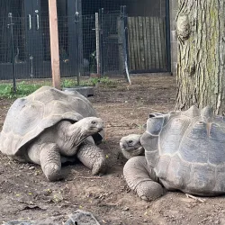 Great Plains Zoo & Delbridge Museum of Natural History - Sioux Falls