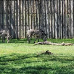 Great Plains Zoo & Delbridge Museum of Natural History - Sioux Falls