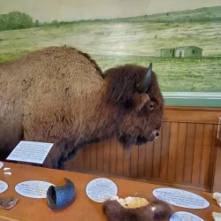 Old Courthouse Museum - Sioux Falls