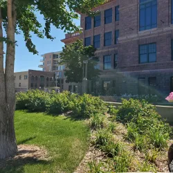 Washington Pavilion of Arts and Science - Sioux Falls