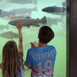 D.C. Booth Historic National Fish Hatchery - Spearfish