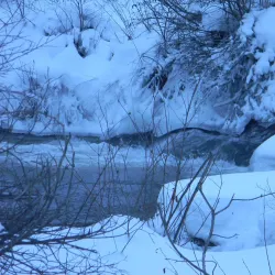 Spearfish Canyon - Spearfish