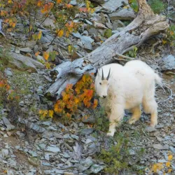 Spearfish Canyon - Spearfish