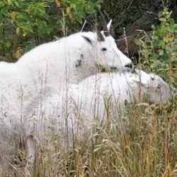 Spearfish Canyon - Spearfish