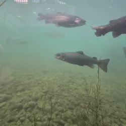 Spearfish City Park - Spearfish