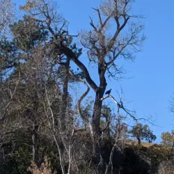 Spearfish City Park - Spearfish