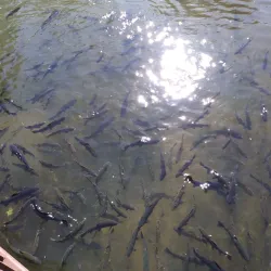 Spearfish City Park - Spearfish