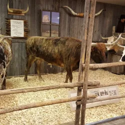 Spearfish Museum and History Center - Spearfish