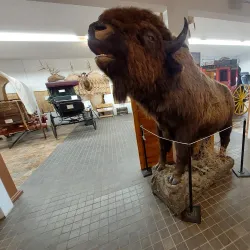 Spearfish Museum and History Center - Spearfish