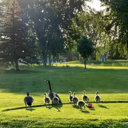 Bluffs Nature Area - Vermillion
