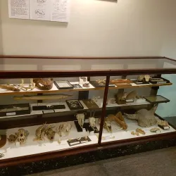 Old Courthouse Museum - Vermillion