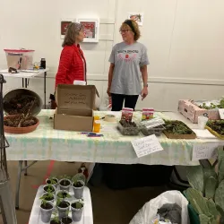Vermillion Farmers Market - Vermillion