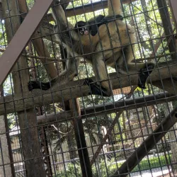 Bramble Park Zoo - Watertown