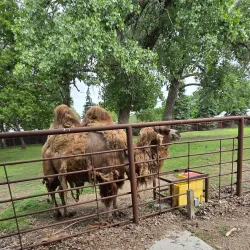 Bramble Park Zoo - Watertown