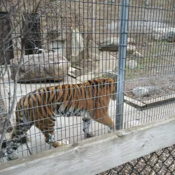 Bramble Park Zoo - Watertown