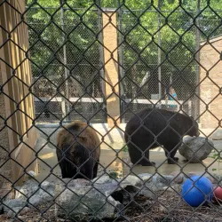 Bramble Park Zoo - Watertown
