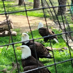 Bramble Park Zoo - Watertown