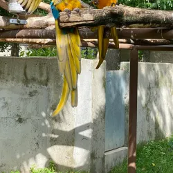 Bramble Park Zoo - Watertown