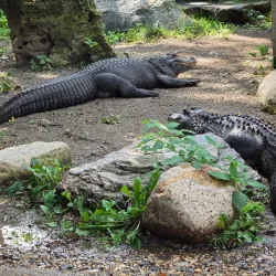 Bramble Park Zoo - Watertown