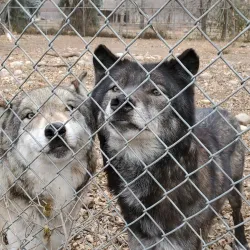 Bramble Park Zoo - Watertown