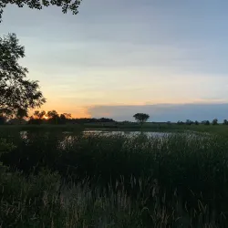 Memorial Park - Watertown