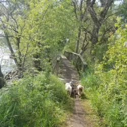 Memorial Park - Watertown