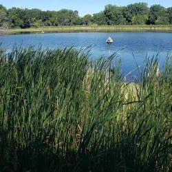 Memorial Park - Watertown