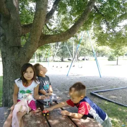 Public Opinion Park - Watertown