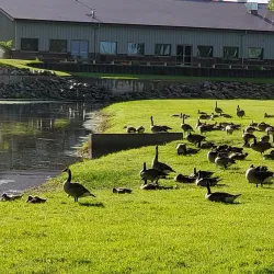 Public Opinion Park - Watertown