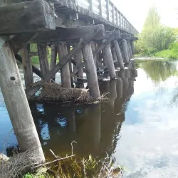 Public Opinion Park - Watertown