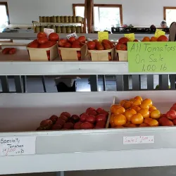 Athens Farmers Market - Athens