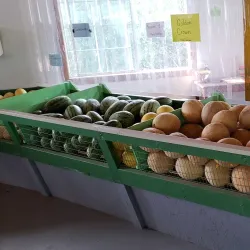 Athens Farmers Market - Athens