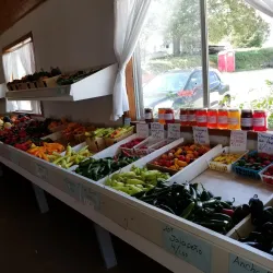 Athens Farmers Market - Athens