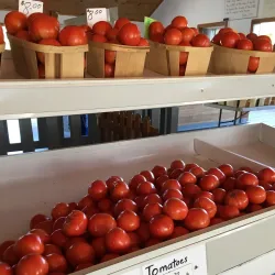 Athens Farmers Market - Athens