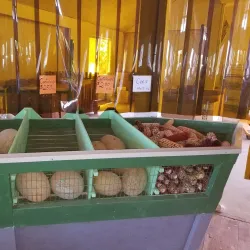 Athens Farmers Market - Athens