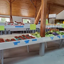 Athens Farmers Market - Athens