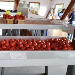 Athens Farmers Market - Athens