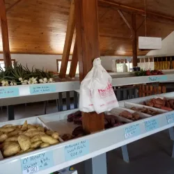 Athens Farmers Market - Athens