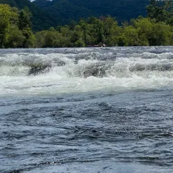Cherokee National Forest - Athens