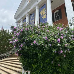 The McMinn County Courthouse - Athens