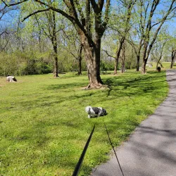 Veterans Memorial Park - Athens