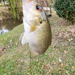 Veterans Memorial Park - Athens