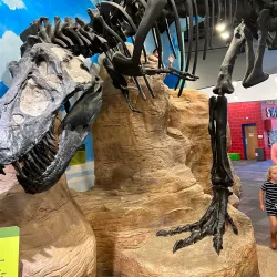 Creative Discovery Museum - Chattanooga